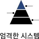 엄격한 시스템